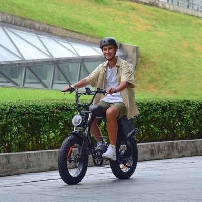 Hidoes B9 Dual Battery Fat Tire Electric Bike 48V 33.8Ah 250W Motor 90km STOCK