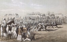 Antique  Chromolithograph Print   Book Plate Buffalo Race Sport  India Art