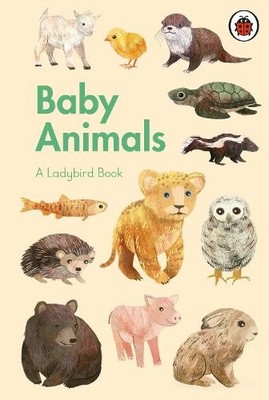 A Ladybird Book: Baby Animals Book The Fast Free Shipping