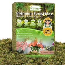 3.5 OZ Green Moss for Plants Indoor, Crafts Moss for Artificial Plants, Decor...