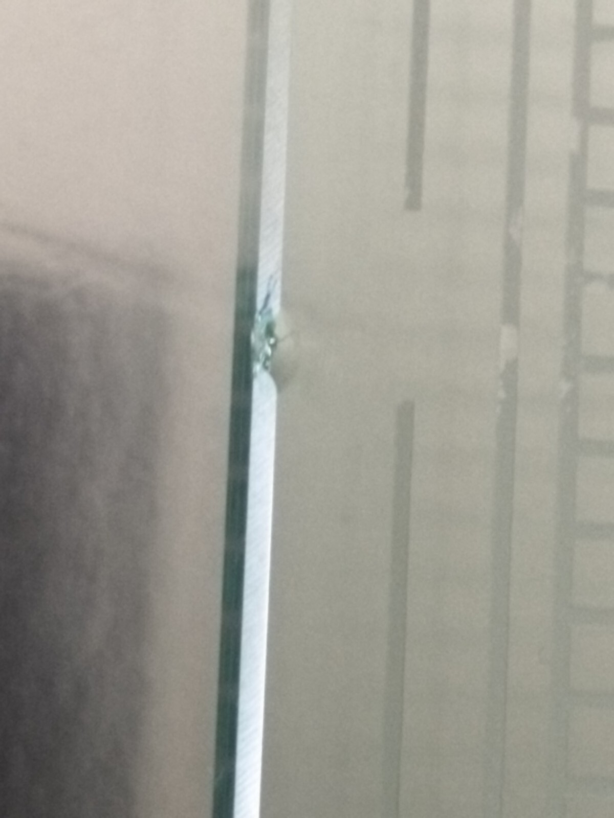 Picture 6 of 6