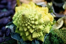1000 Romanesco Broccoli Seeds Non-GMO Heirloom | USA Seller Free Shipping