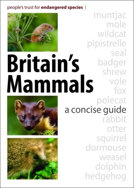 Britain's Mammals by People's Trust for Endangered Species (Paperback Book) - Image 5
