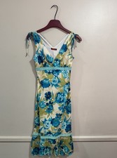 Beautiful Y2K Vintage Entrancy Floral Blue & Green Dress 