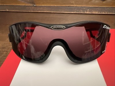 Skibrille Alpina Swing 33 Doubleflex Schwarz Mit Grauer Scheibe