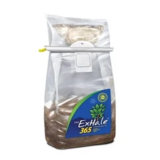 Exhale Homegrown CO2 365 - Self-Activated Bag for Grow Rooms & Tents - Great ...