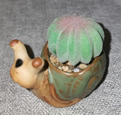 Snail Planter Succulent Ceramic Artificial Succulent by Francesca's New