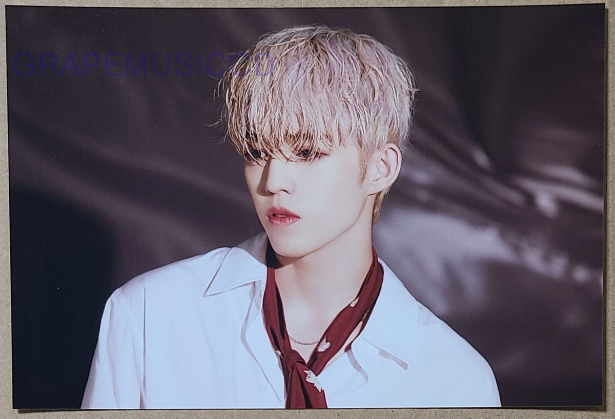 SEVENTEEN セブチ エスクプス プレミアムフォト グッズ MD SEVENTEEN OFFICIAL MD GOODS SEVENTEEN PHOTO | eBay