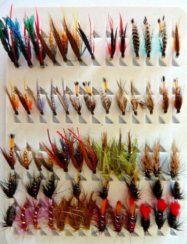 lot de 55 mouches Noyées peche truite Fishing WETS FLIES fly leurres cannes - Photo 5/7