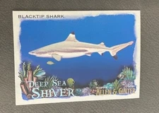 2021 Topps Allen & Ginter Black Tip Shark #DSS-8 Deep Sea Shiver