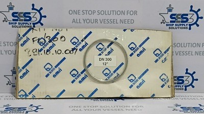 KSB AMRI DN 300 12'' Valve Seal Ring Gasket - Genuine Spare Part 381.18.10.007