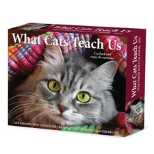 Willow Creek Press,  What Cats Teach Us 2026 Desk Calendar, 6.18'' X 5.43'', Dai