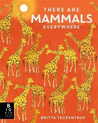 There are Mammals Everywhere | Camilla De La Bedoyere | Buch | Big Picture Press