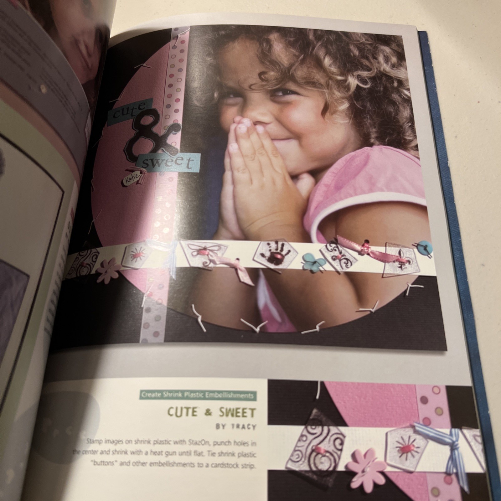 как выглядит Rubber Stamping Ideas, Designing, And Project Book Lot фото