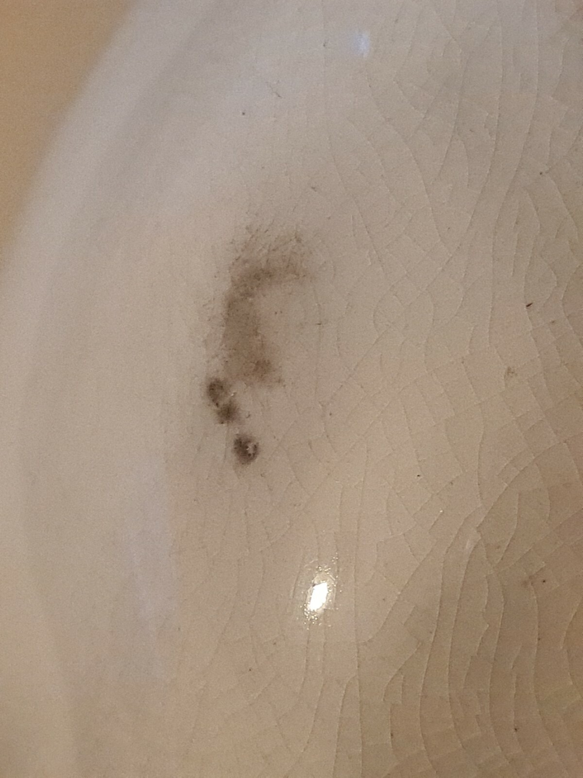 Picture 4 of 12