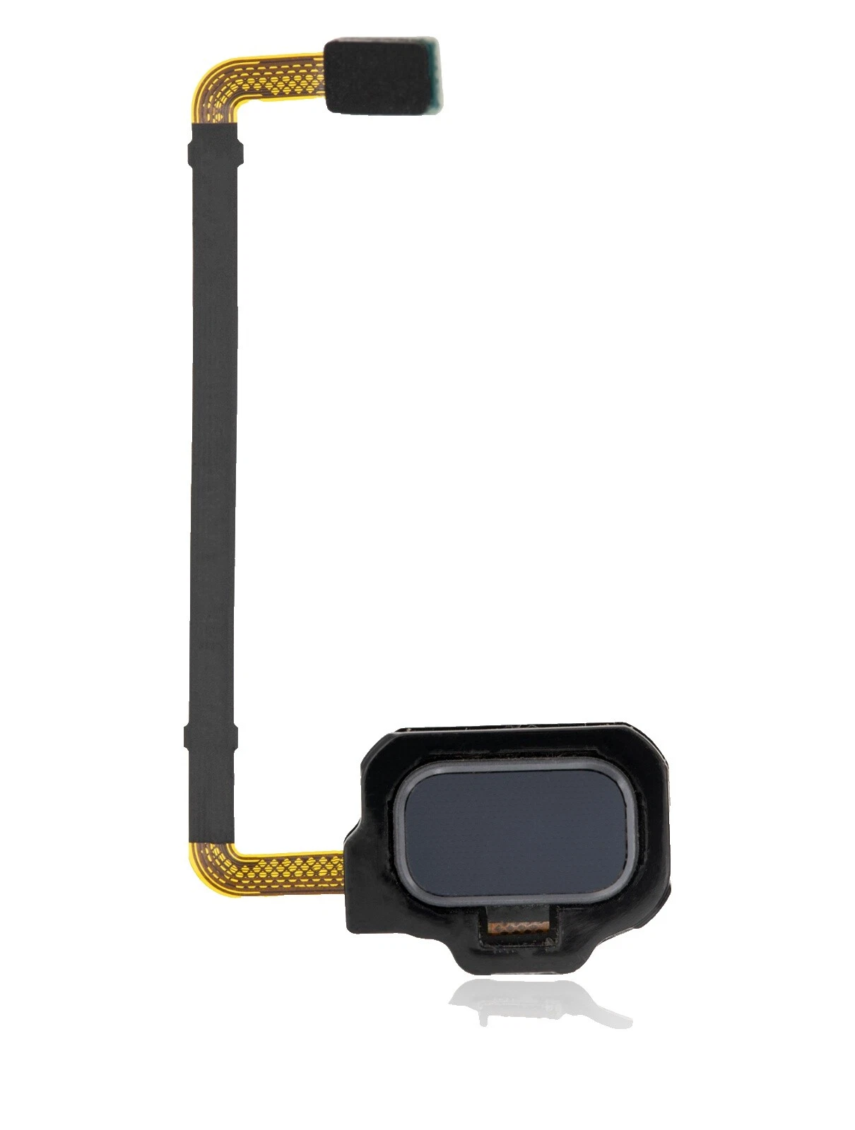 Cables flex para piezas Samsung Galaxy S8