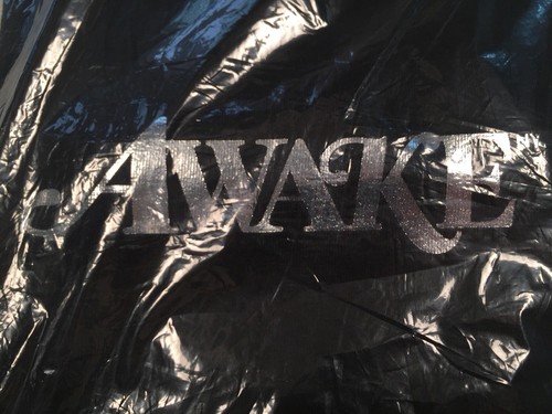 Awake NY Metallic Foil Logo Tee Large Black Brand New Sold out DS T-shirt Sup QS - Picture 9 of 12