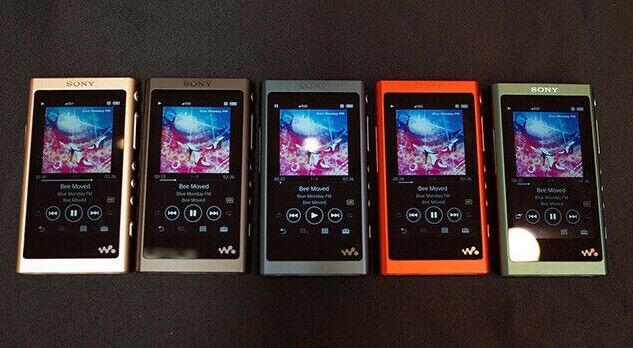Sony NW-A55 Walkman Digital Audio Player Hi-Res English Language 5 colors  Used