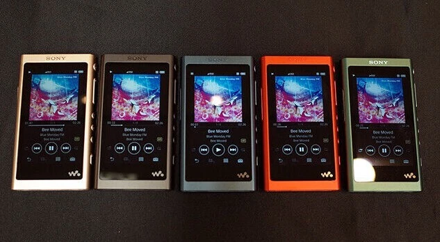 Sony NW-A55 Walkman Digital Audio Player Hi-Res English Language 5