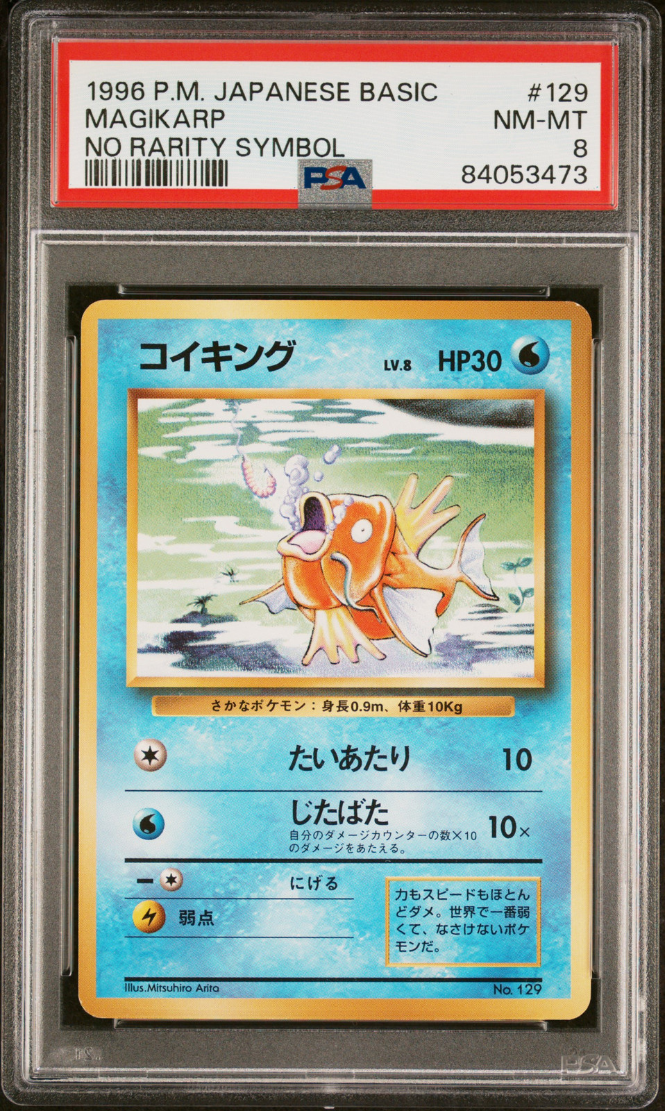 Magikarp PSA 8