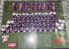 NFL Minnesota Vikings 1994 Football Team Photo 8 X 10 Poster Lays Target — photo 2
