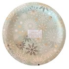 PAPYRUS Winter Sage Snowflake 48 Dinner Plates 10" Paper Disposable Plastic Coat