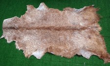 Luxury Goat hide Rug Hair on Area Rug Size 36"x24" Animal Leather Goat Skin G300