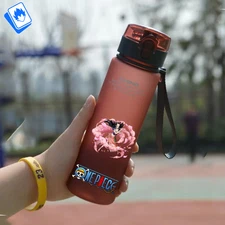 Anime One Piece 560ml Stainless Steel Water Bottle | Gift Idea for Mugiwara Crew
