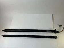 2013 - 2019 Ford Escape Liftgate Trunk Motor Support Lifting Electric Strut OEM