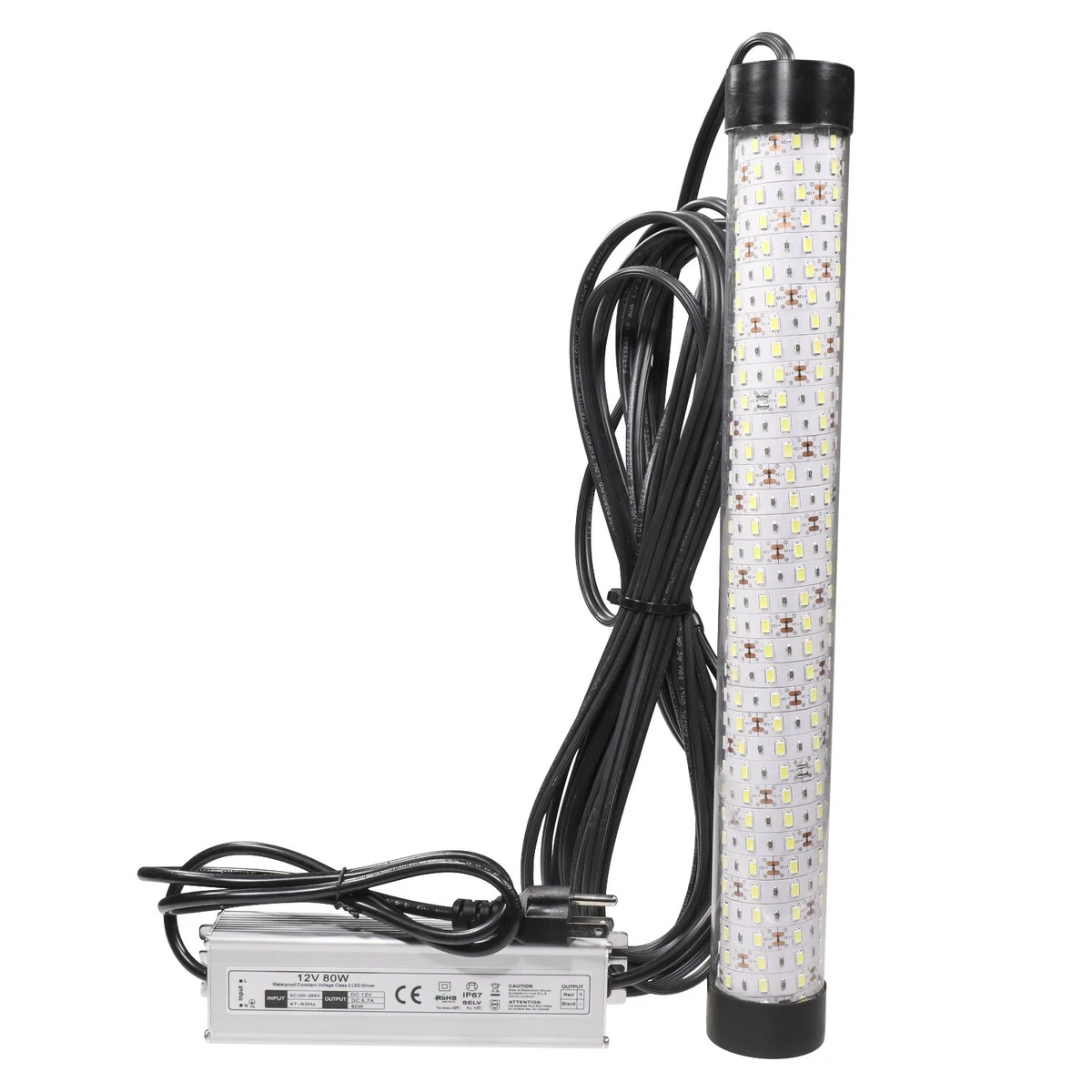 Best Portable Underwater Fishing Lights Shelly Lighting