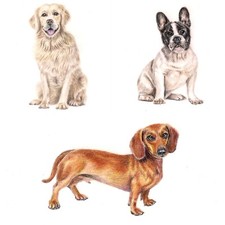 Original Miniature Dog Artworks Fathers day gift Art Daschund  Boxer Retriever 