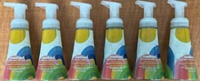 6 pack METHOD Limited Ed CITRUS SUNSHINE foaming hand wash 10oz Each Plant-Based