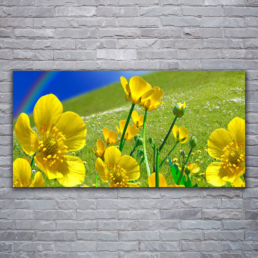 Tableau sur verre acrylique de 120x60 cm pour illuminer un salon moderne avec une prairie fleurie