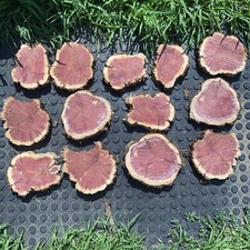   VIBRANT RED CEDAR LIVE EDGE WOOD COOKIE FOR RUSTIC WOOD PROJECTS SMELLS NICE  