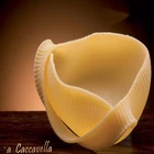 Gragnano Caccavella 36 Single Portions