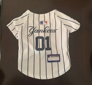 dog yankees jersey