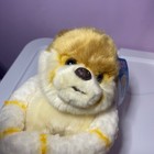 Photo 3/7