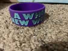 Disney Aladdin & Princess Jasmine A Whole New World Song Rubber Bracelet