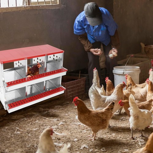 6 Compartment Nesting Boxes for Chickens,Galvanized Steel Chicken Laying Boxes - Picture 8 of 8
