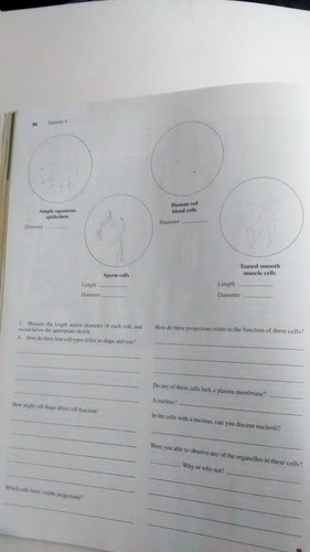 Human Anatomy and Physiology Laboratory Manual Elaine Marieb Cat Version 8th Ed. - Foto 9 di 11
