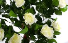 Bild 21 von 30