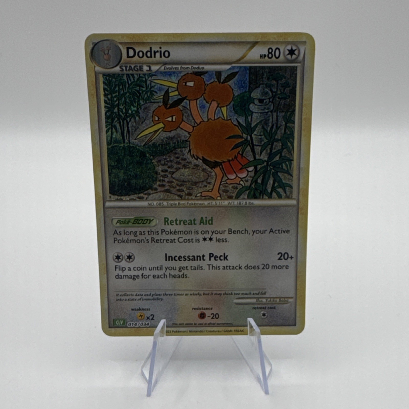 Pokémon TCG Dodrio Holo Classic Collection 014/034 Stage 1 80 HP English