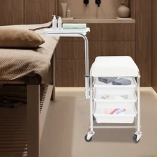 White Manicure Tool Trolley Max. Load Bearing Capacity: 100kg Tool Organizer