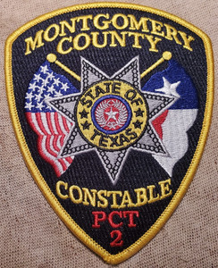Texas Constable Badge | eBay