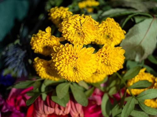 Vivitar MC 28mm F 2.8 Wide Angle, Close Focus Prime Lens. Olympus OM Mount - Picture 17 of 17
