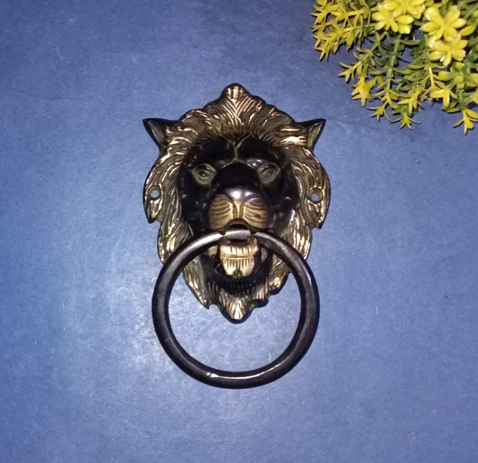 Picture 1 of 12