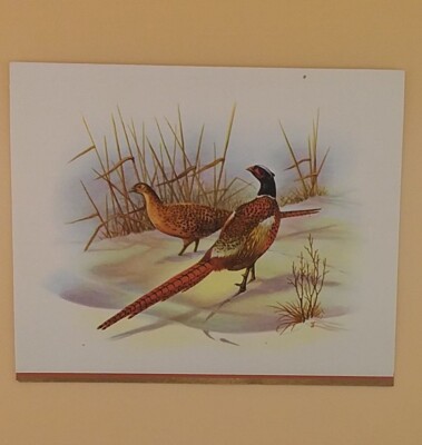 Vintage Christmas Card, Ring Necked Pheasants On Snowy Ground - Used, Card #2