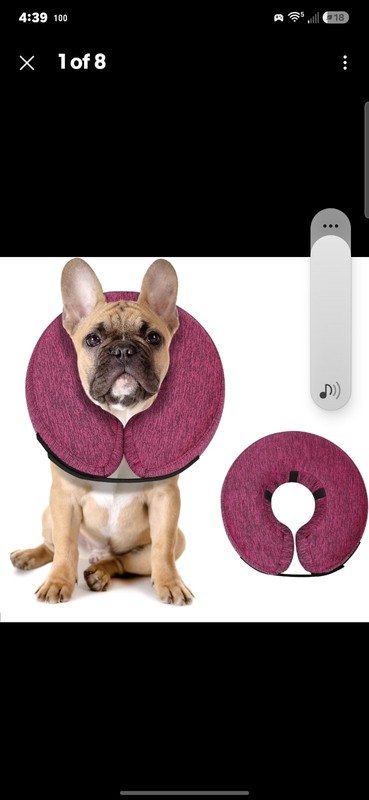 MIDOG Inflatable Dog Neck Donut Soft Protective Recovery Cone, Rose Medium