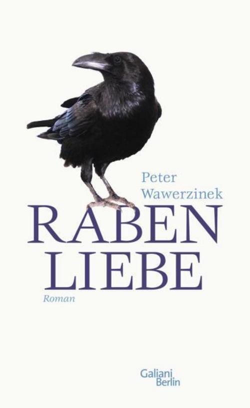 Peter Wawerzinek / Rabenliebe9783869710204