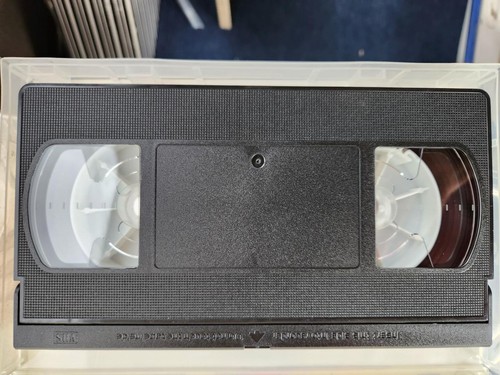 VHS Tape Immortal Sins Ex Rental USED - Picture 3 of 4